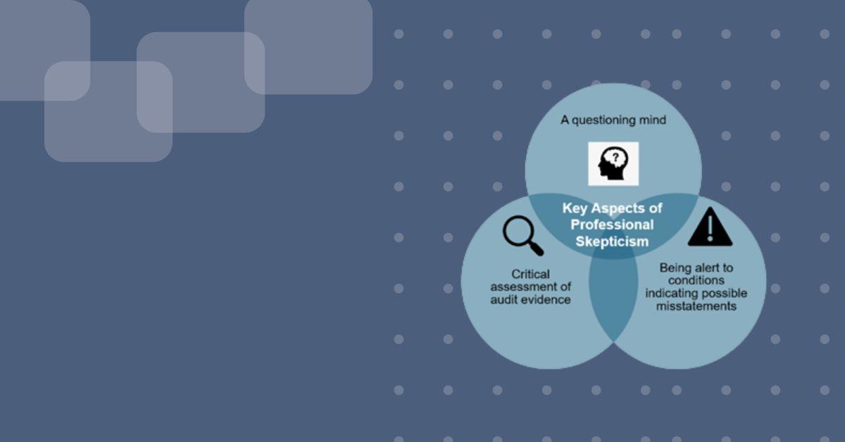 IAASB Professional Skepticism Graphic