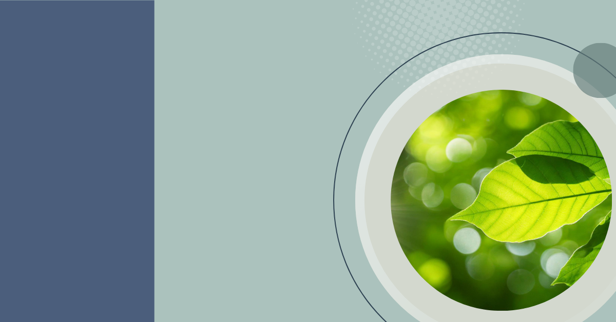 Blue and green graphic with circular image of green leaves