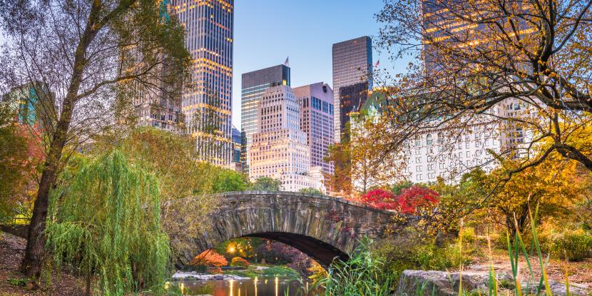New York City's Central Park in Autumn