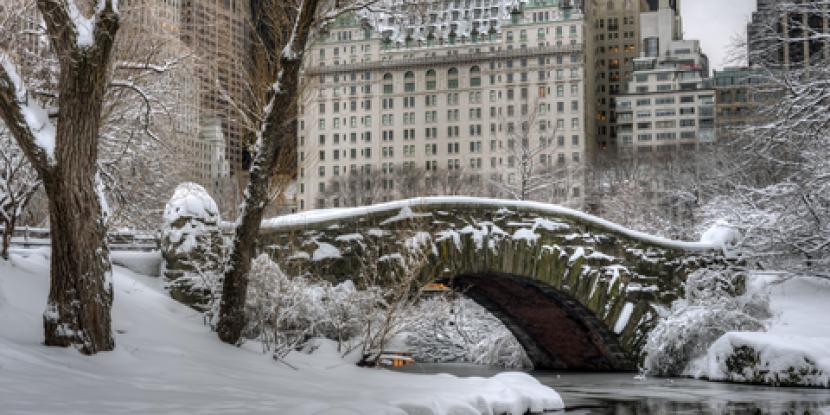 Central Park winter