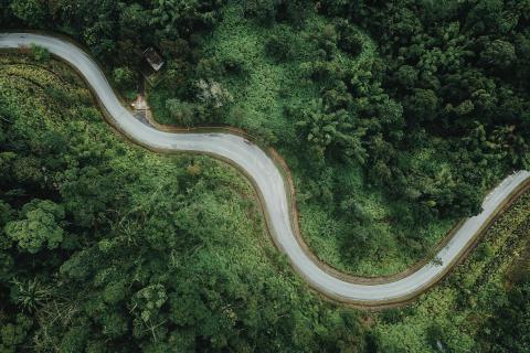 Winding road through a forest