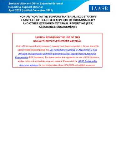 IAASB-Support-Material-Examples-Extended-External-Reporting.pdf